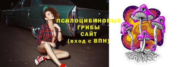 мет Осинники