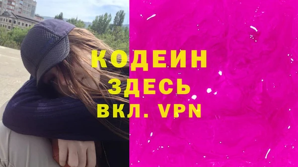 индика Нягань