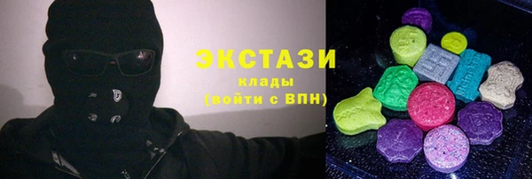 индика Нягань