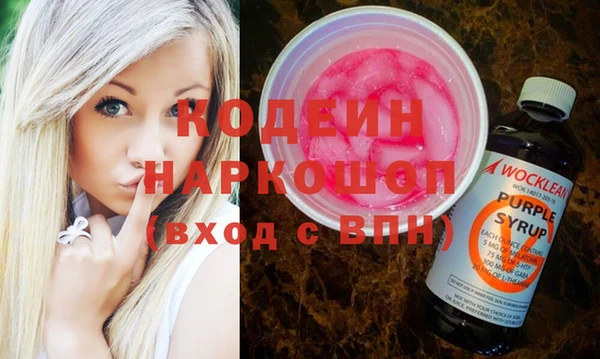 индика Нягань
