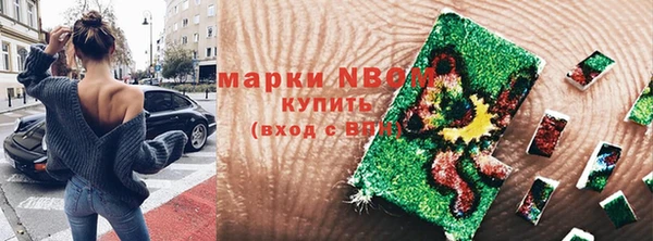 индика Нягань