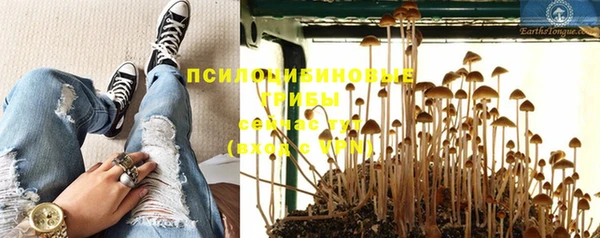 стаф Нязепетровск