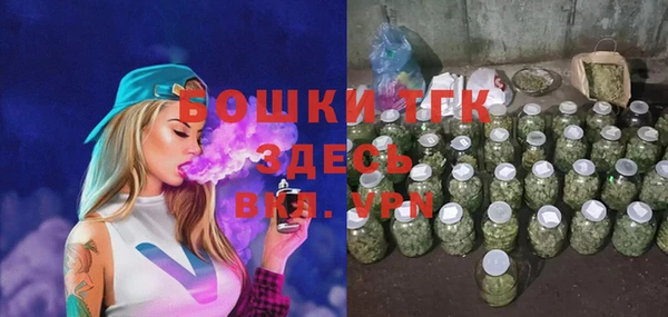 индика Нягань