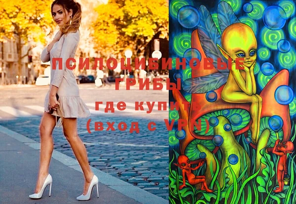 альфа пвп Няндома