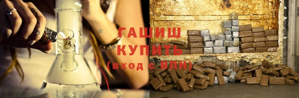 индика Нягань