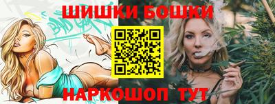 молекула духа Будённовск