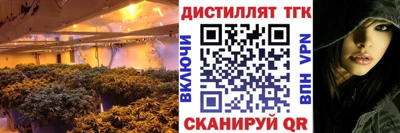 МЕГА маркетплейс  Киров  Дистиллят ТГК вейп с тгк 