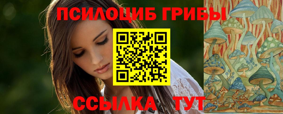 Галлюциногенные грибы Cubensis Киров