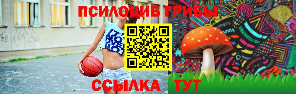 Киров  Галлюциногенные грибы прущие грибы  Псилоцибиновые грибы Magic Shrooms  Вход с VPN 