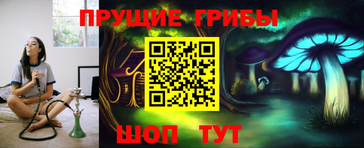 Галлюциногенные грибы Cubensis Киров